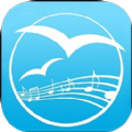 海鸥音乐 