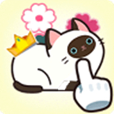 救救这猫咪 