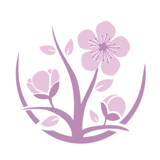 养生菜谱 