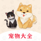 易宠 