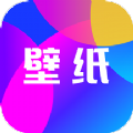 禾琴壁纸 