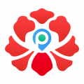 牡丹停 