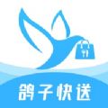鸽子快送 