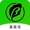 菠菜花 