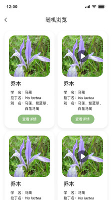绿图景观植物
