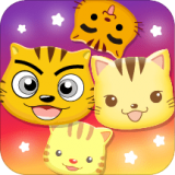 星猫广场 