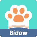 Bidow 