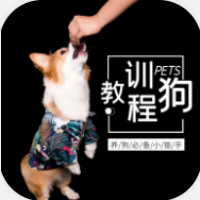 训狗教程 