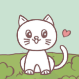 多多养猫助手 