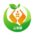 云农资掌柜 