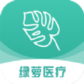 绿萝医疗 