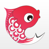 小鲤鱼育儿 