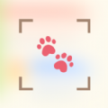汪汪扫描 