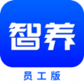 智保养车 