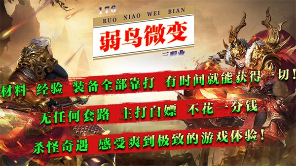 弱鸟176极品微变