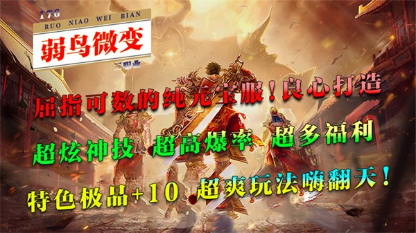弱鸟176极品微变
