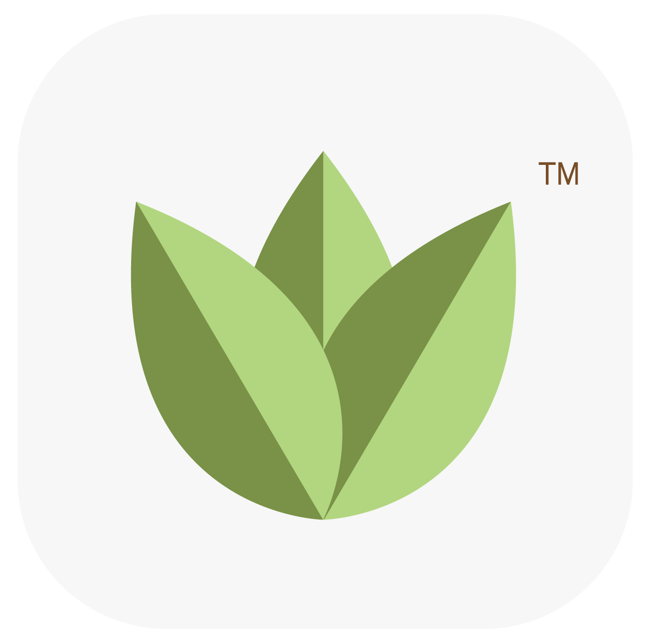 Plantsshop 