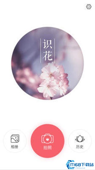 识花君app