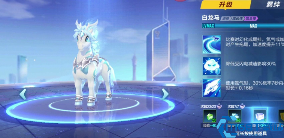 琼华仙驹腾空竞速神宠终极评测指南