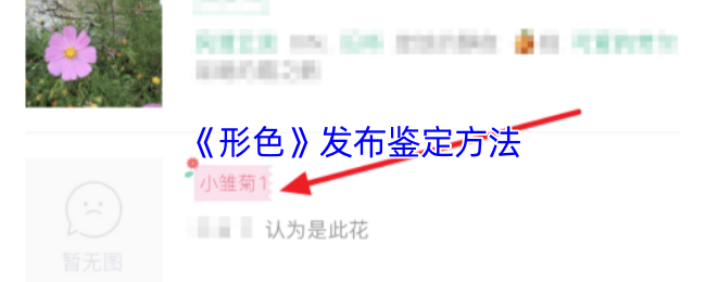 形色 APP 植物鉴定全攻略：3 分钟成为野生植物学家