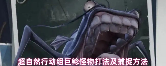 超自然行动组巨鲶终极狩猎指南：疾影捕捉与战术破解
