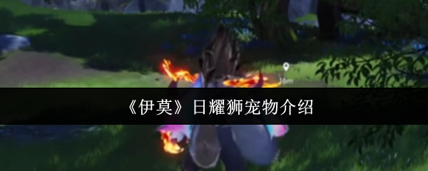 伊莫日耀狮宠物全解析：新手开荒的黄金利爪