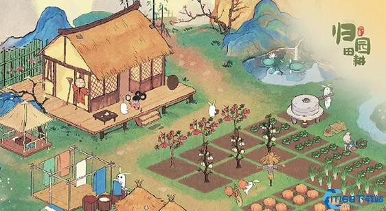 辣椒自由不是梦！三大获取途径助你料理无忧