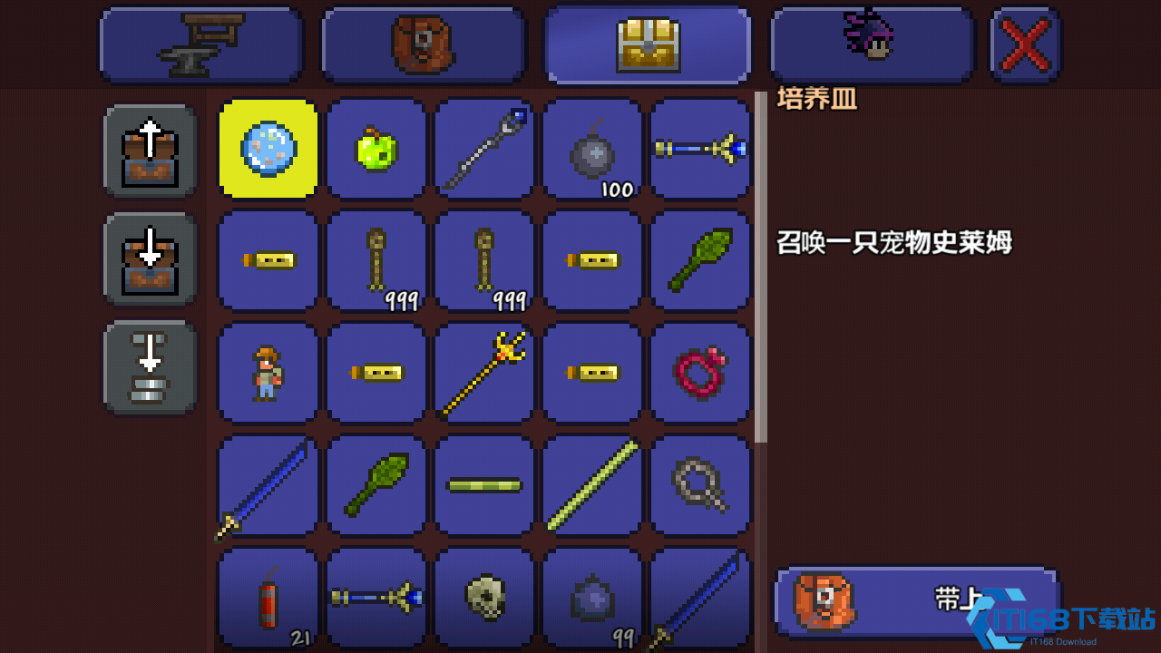 泰拉瑞亚有哪些照明宠物