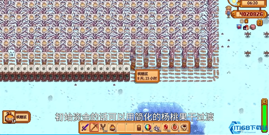 星露谷物语夏天种什么花蜜