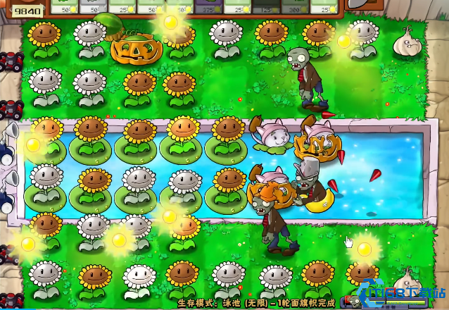 植物大战僵尸无尽模式进阶攻略 阳光管理与阵容搭配技巧