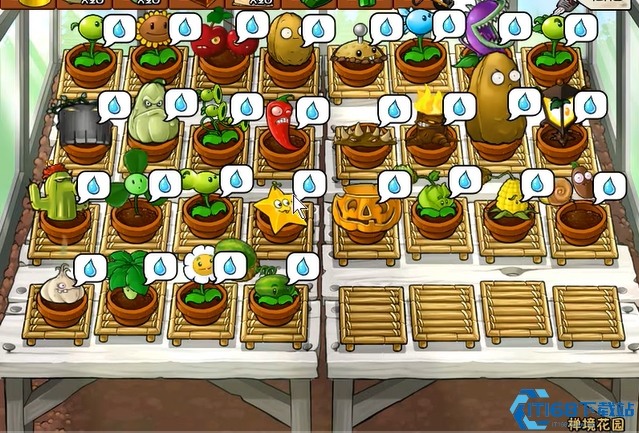 植物大战僵尸赚钱小技巧有什么