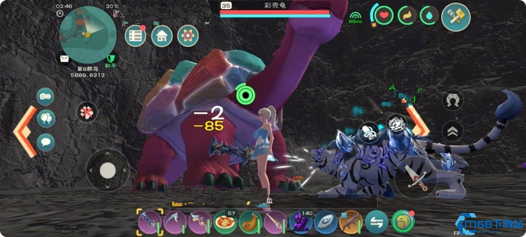创造与魔法里面的龟吃的是什么