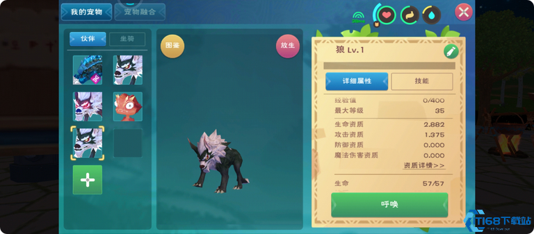 创造与魔法怎么上马