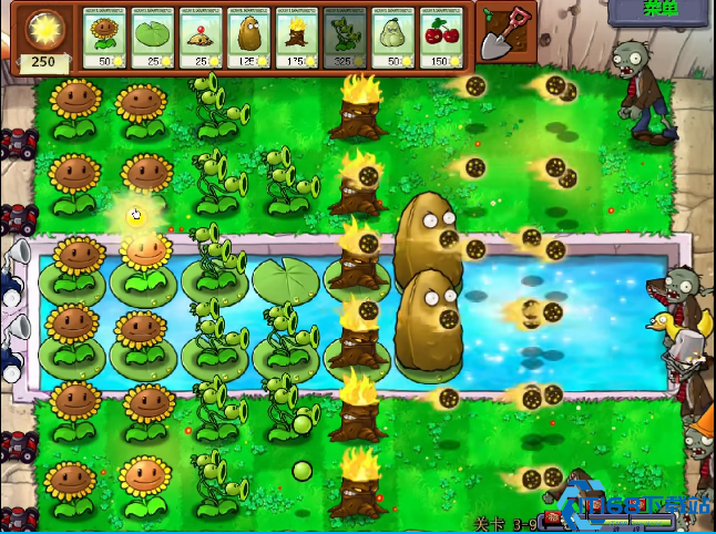 植物大战僵尸水路关怎么过