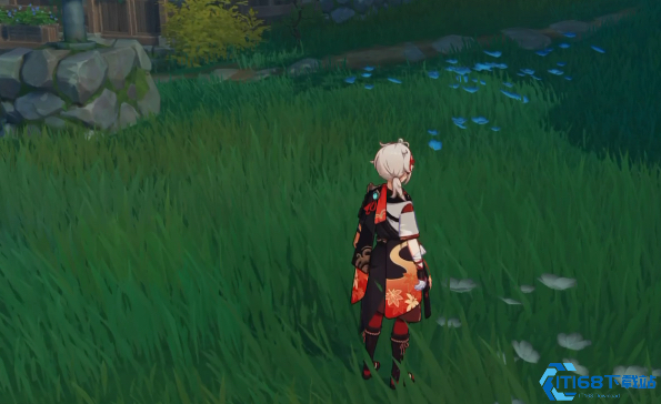 原神孤岛诊疗谭中的隐藏宝箱怎么拿