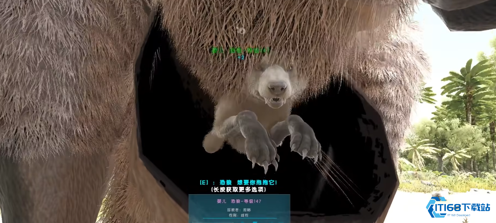 方舟生存进化巨型袋鼠有什么用