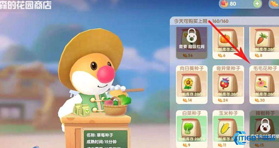 毛毛花收获全攻略：从种植到收获的完整指南