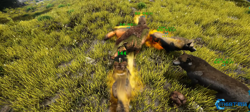 方舟生存进化恐狼有什么用