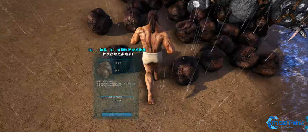 方舟生存进化渐新象有什么用