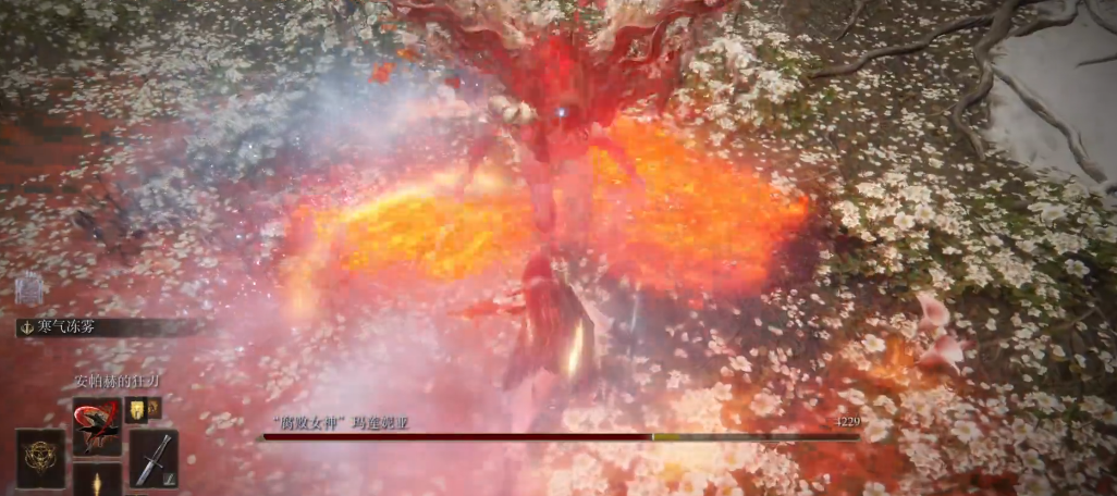 艾尔登法环安帕赫的狂刃怎么样