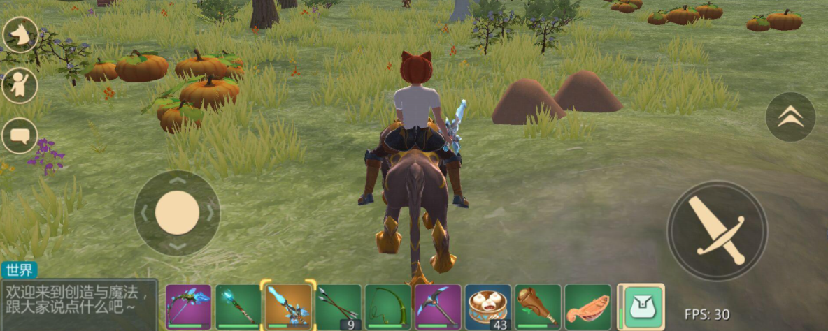 创造与魔法陆行鸟饲料怎么得