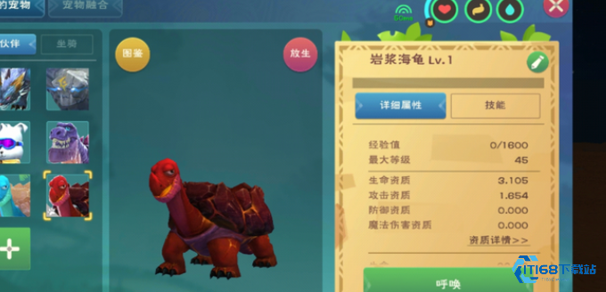 创造与魔法水池龟饲料要多少包稳