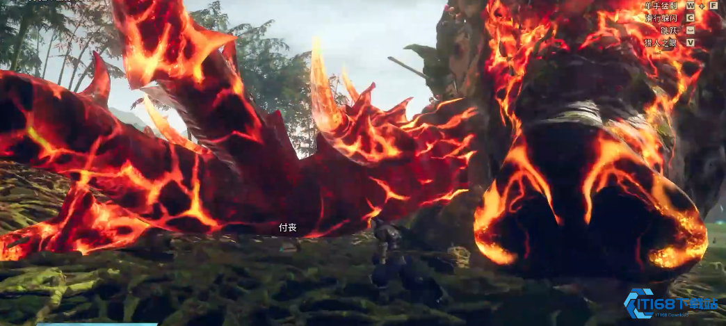 狂野之心琥珀主怎么打