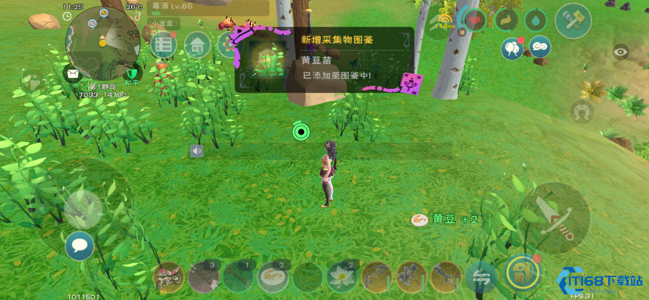 春日海岸必刷黄豆资源点 高效采集轻松实现美食喂养自由！