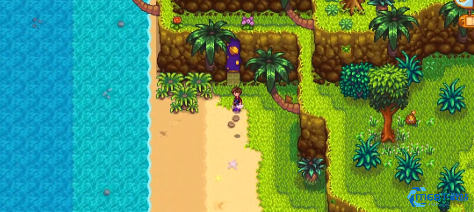 星露谷终极商店攻略沙漠绿洲与姜岛桃源任你淘金