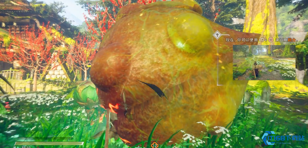 狂野之心花宿怎么打