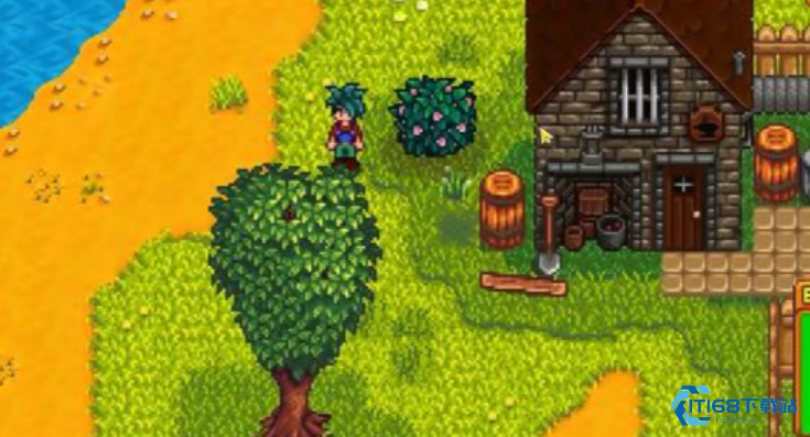 星露谷物语克林特在哪里