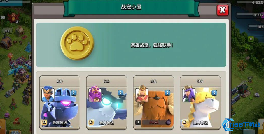 部落冲突女王怎么搭配战宠