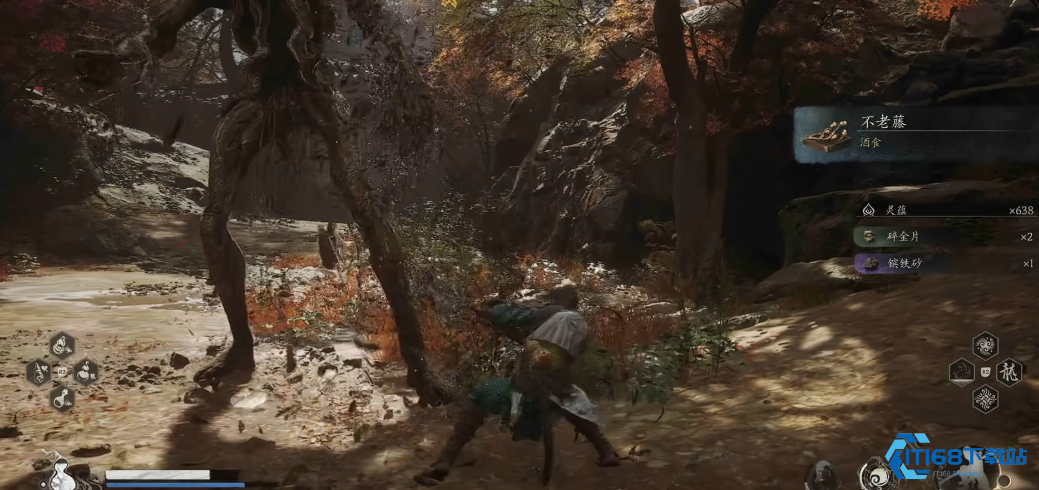 黑神话悟空不老藤怎么获得