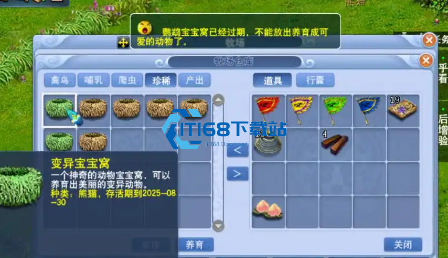 梦幻西游什么宝宝窝积分高